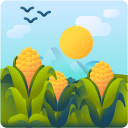 Naturally grown corn