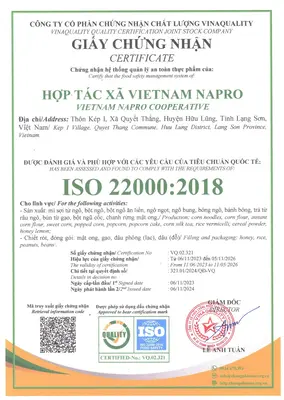Certificate issued napro vietnam in vietnam